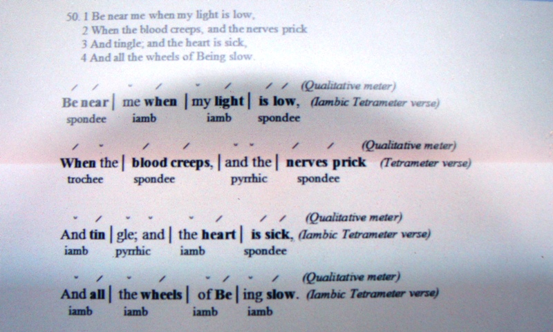 examples of iambs The tempest: prose,rhyme, and blank verse such an occasional troche mixed in with the iambs or an extra unstressed syllable at the end of a line). examples of iambs The tempest: prose,rhyme, and blank verse such an occasional troche mixed in with the iambs or an extra unstressed syllable at the end of a line).
