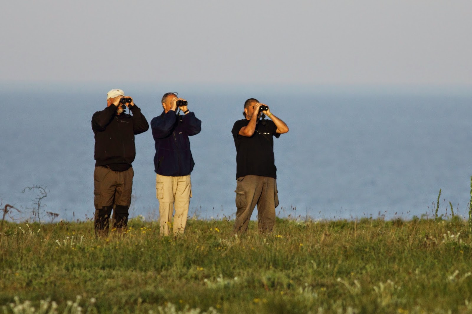 Birdwatching in Bulgaria copyright Iordan Hristov Birdwatching in Bulgaria copyright Iordan Hristov