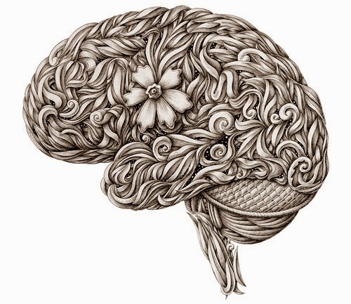 01-The-Brain-Alex-Konahin-Stylised-Anatomy-Intricate-and-Unique-Drawings-www-designstack-co