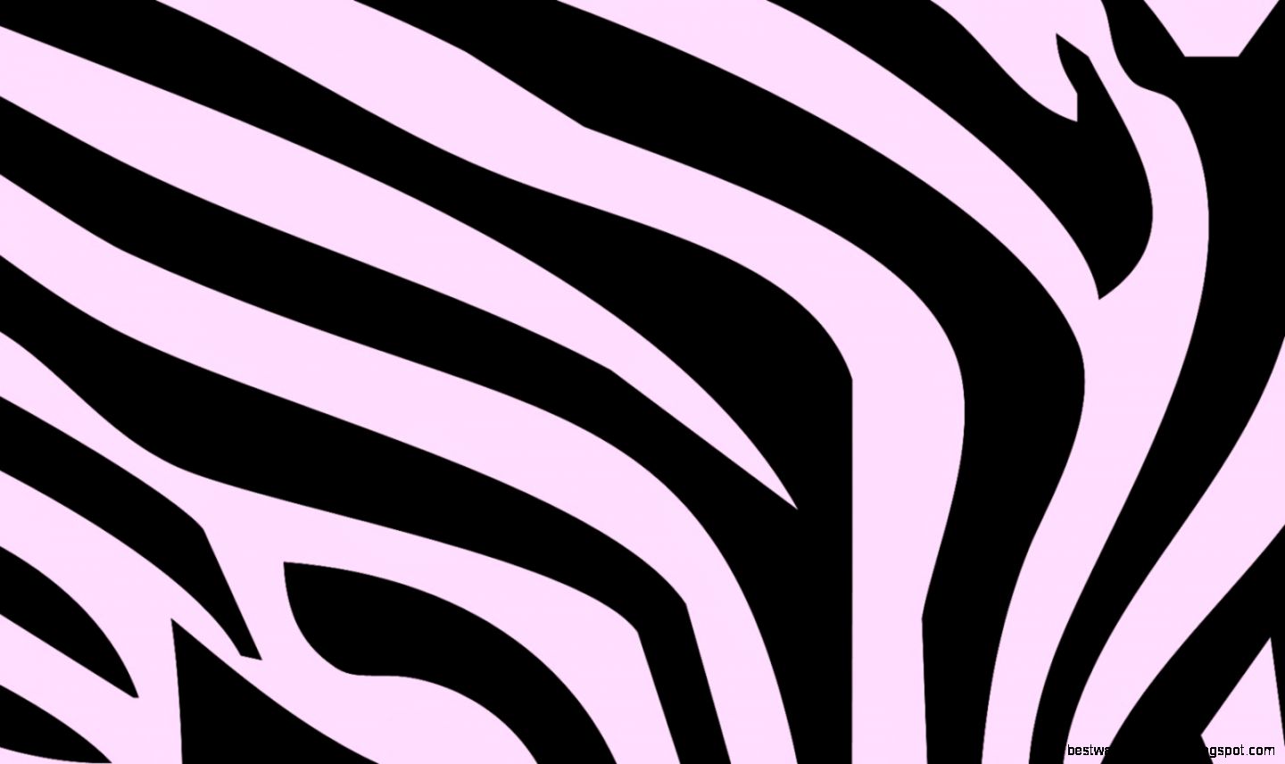 Pink Zebra Print Pink Zebra Print