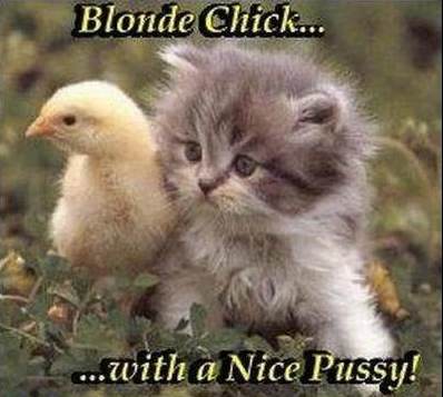 Funny Pics Funny Pics