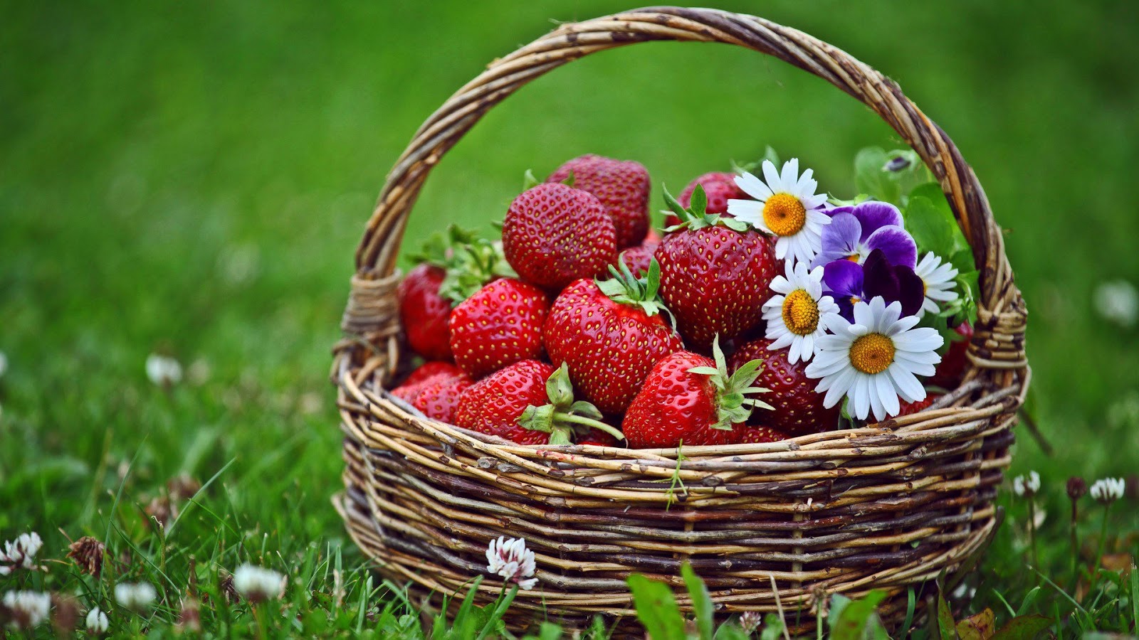 Strawberry Picking in May for National Strawberry Month + 5 Healthy and