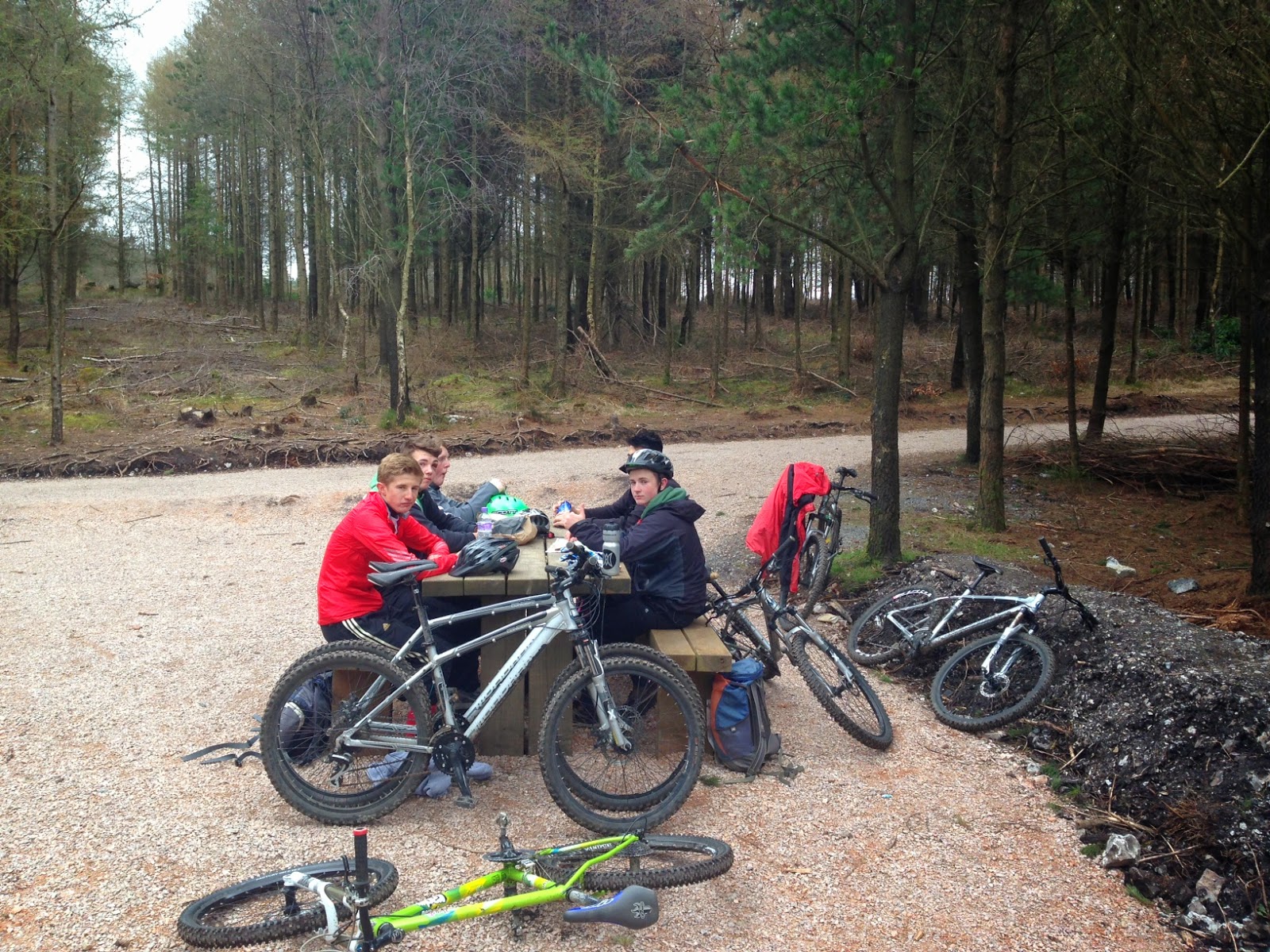 haldon hill mountain biking