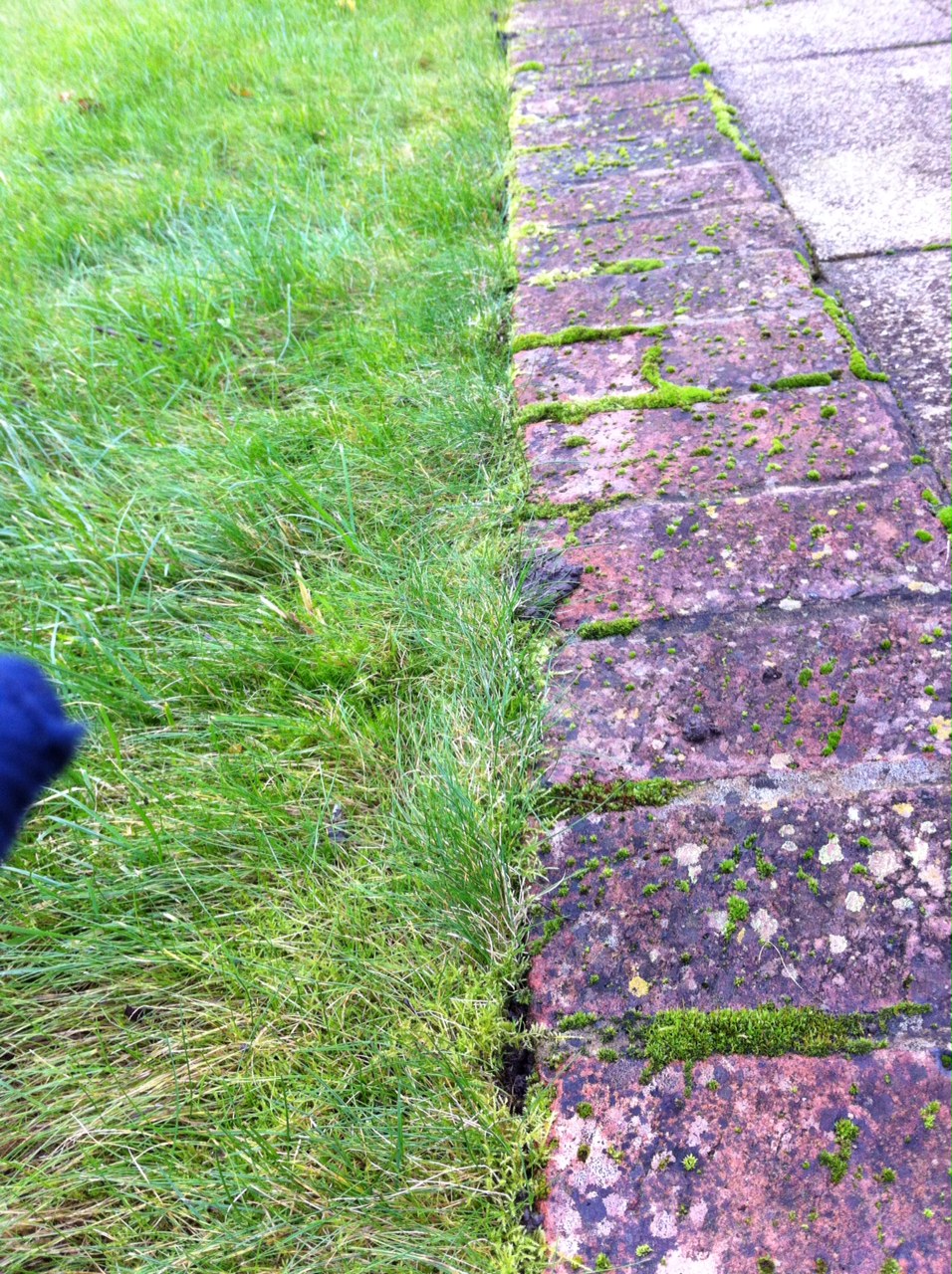 Ben Lowry Edging the lawn with a half moon spade