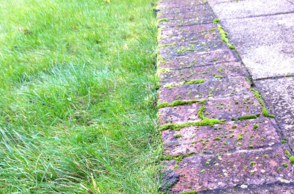 Ben Lowry Edging the lawn with a half moon spade