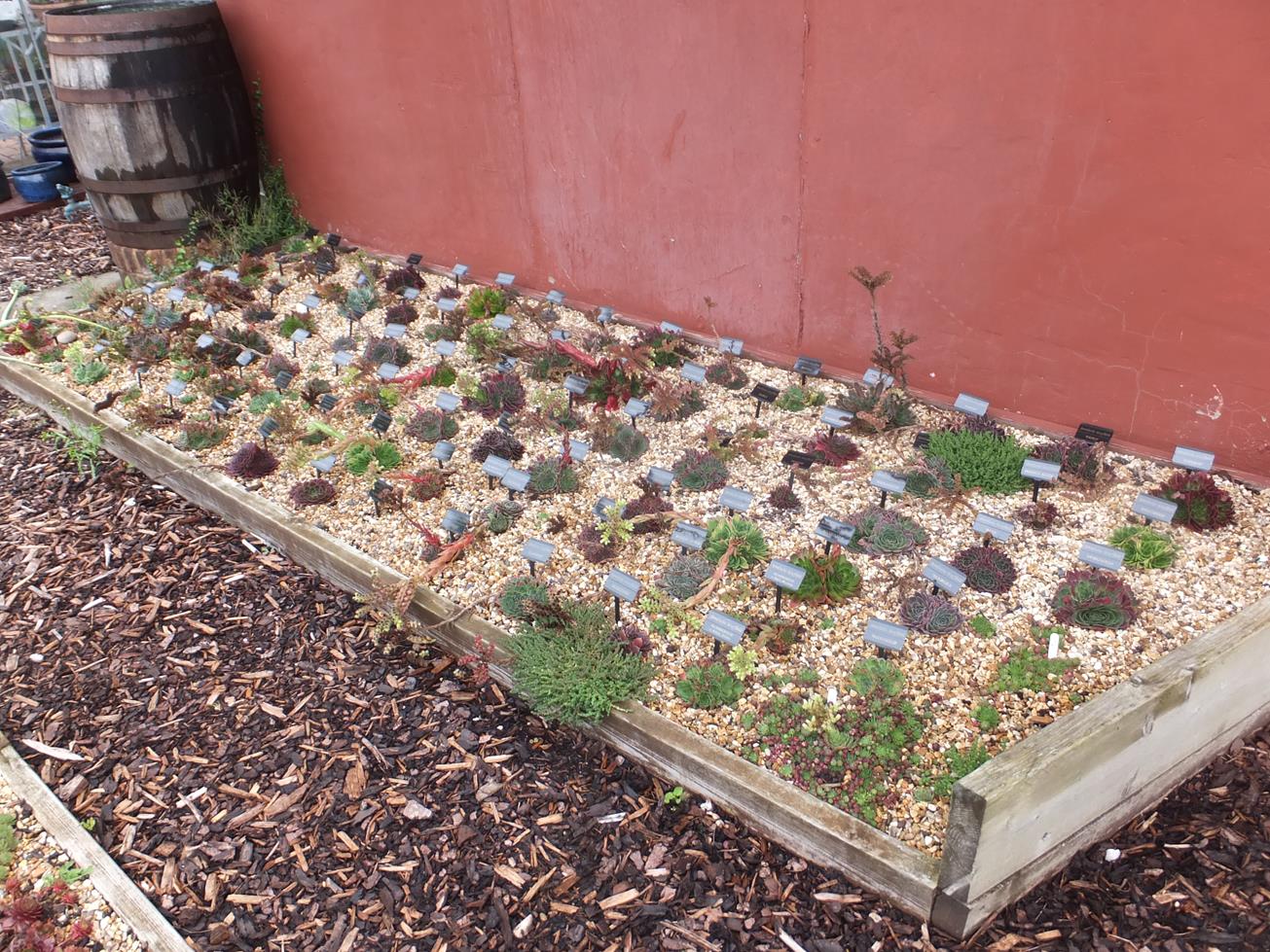 Alternative Eden Exotic Garden A Return to Paul's Garden