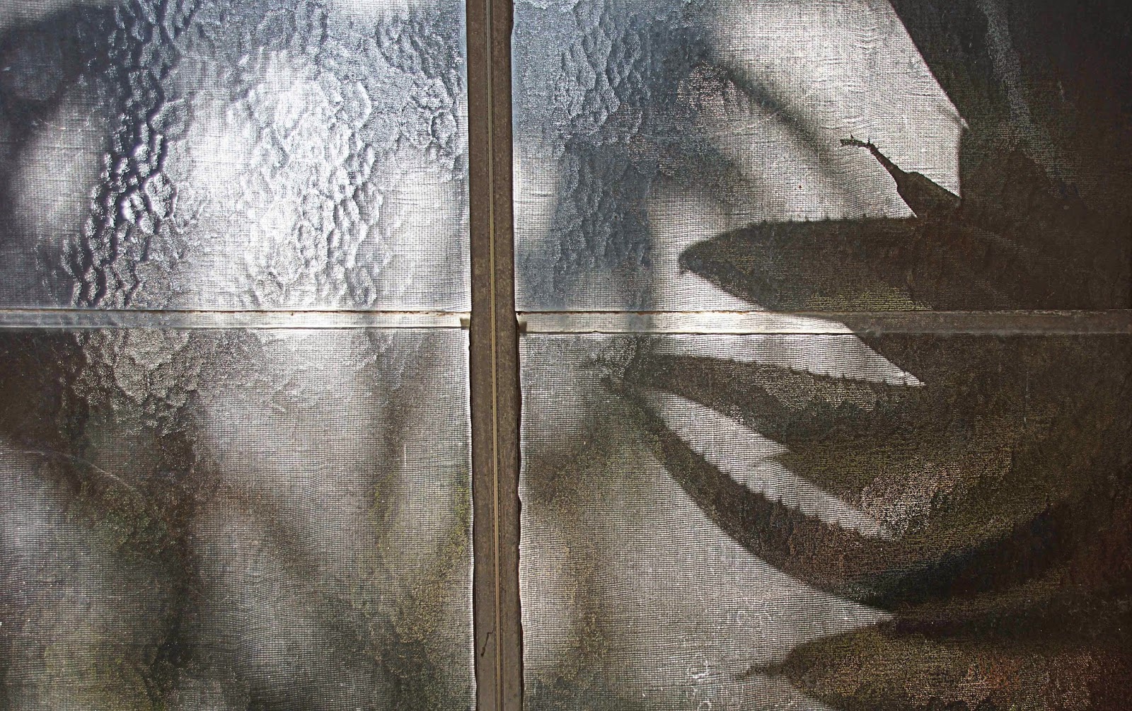 Plants in the Huntington Desert Conservatory