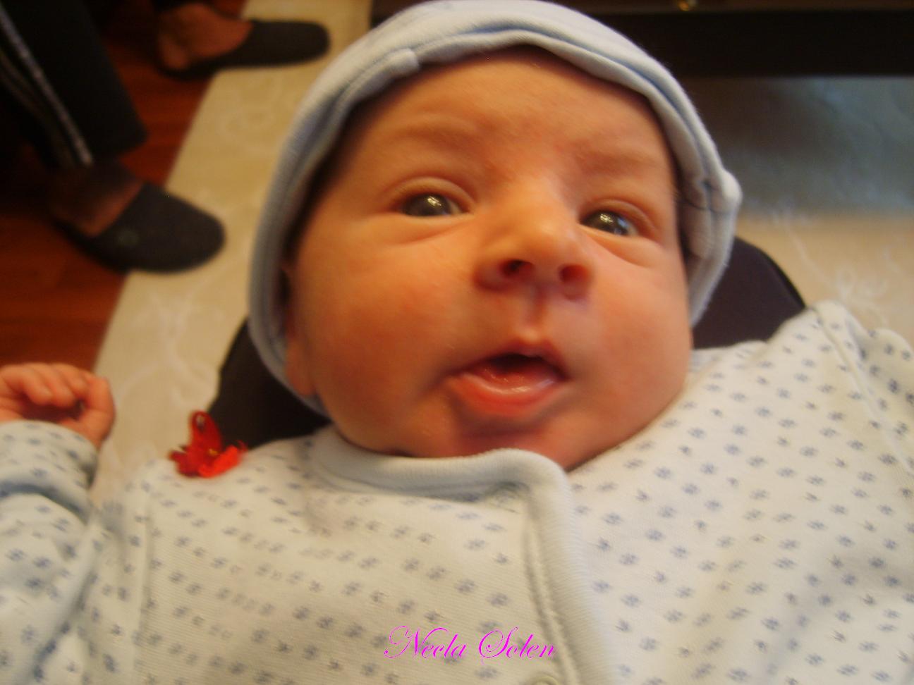 Demir Bebek ve Anne Sütü Necla Sölen