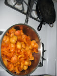 Fresh apricots from backyard tree