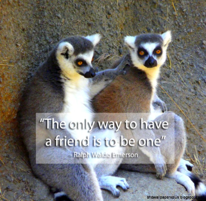 Friendship Quotes Yoga Free Wallpapers HD Friendship Quotes Yoga Free Wallpapers HD