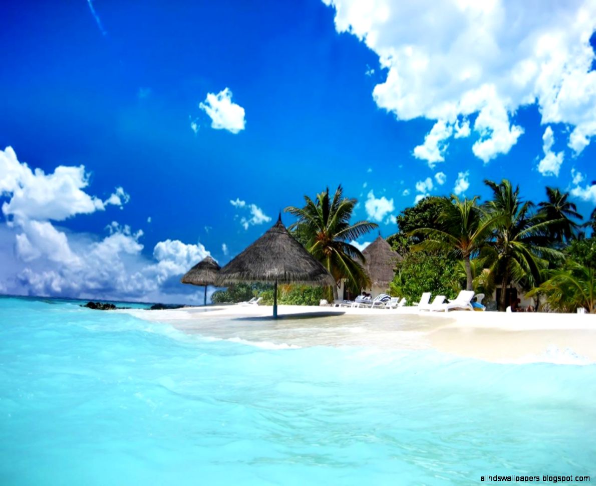 Tropical Island Beach Tropical Island Beach