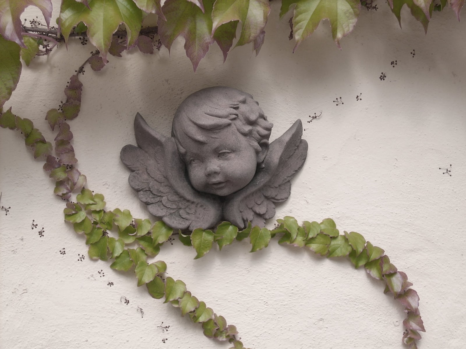 Shabby Chic & Co.: Unser kleiner Schuppen im Hof