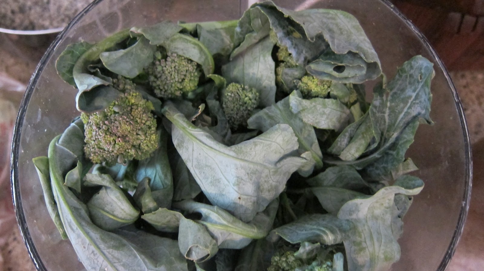 Canary Tales Enhancing Yellow Color With Broccoli Leaves
