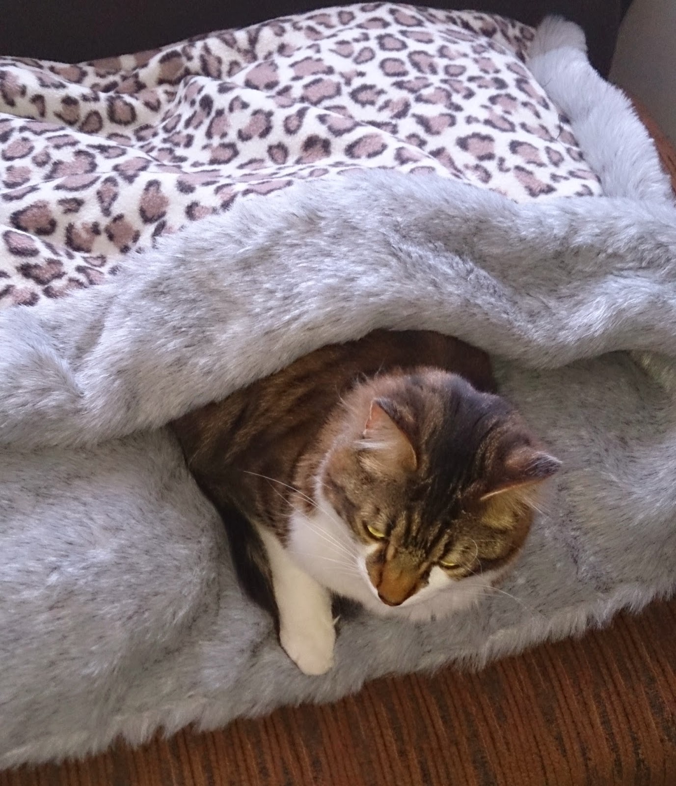 Robin Sparkles Blog How to make a fur and fleece dog / cat double