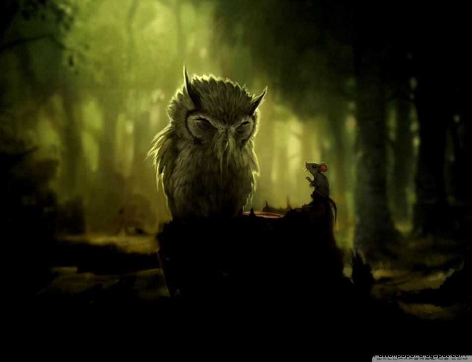 The Wise Owl HD desktop wallpaper Widescreen High Definition The Wise Owl HD desktop wallpaper Widescreen High Definition