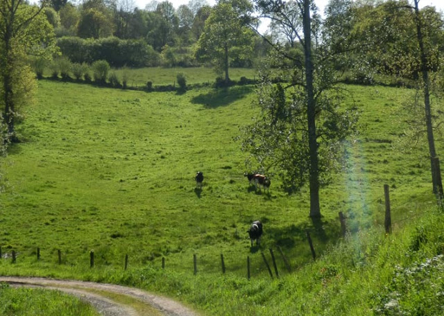 http://lusineabulle.blogspot.com/2015/04/run-baby-run.html