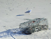 Wells Beach, Maine