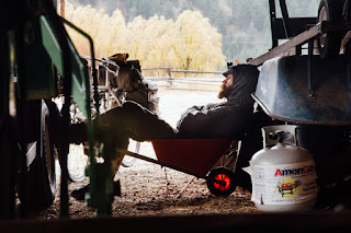 napping in a barn outside of jackson hole wyoming during a rain storm