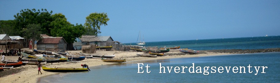 Madagaskarbloggen