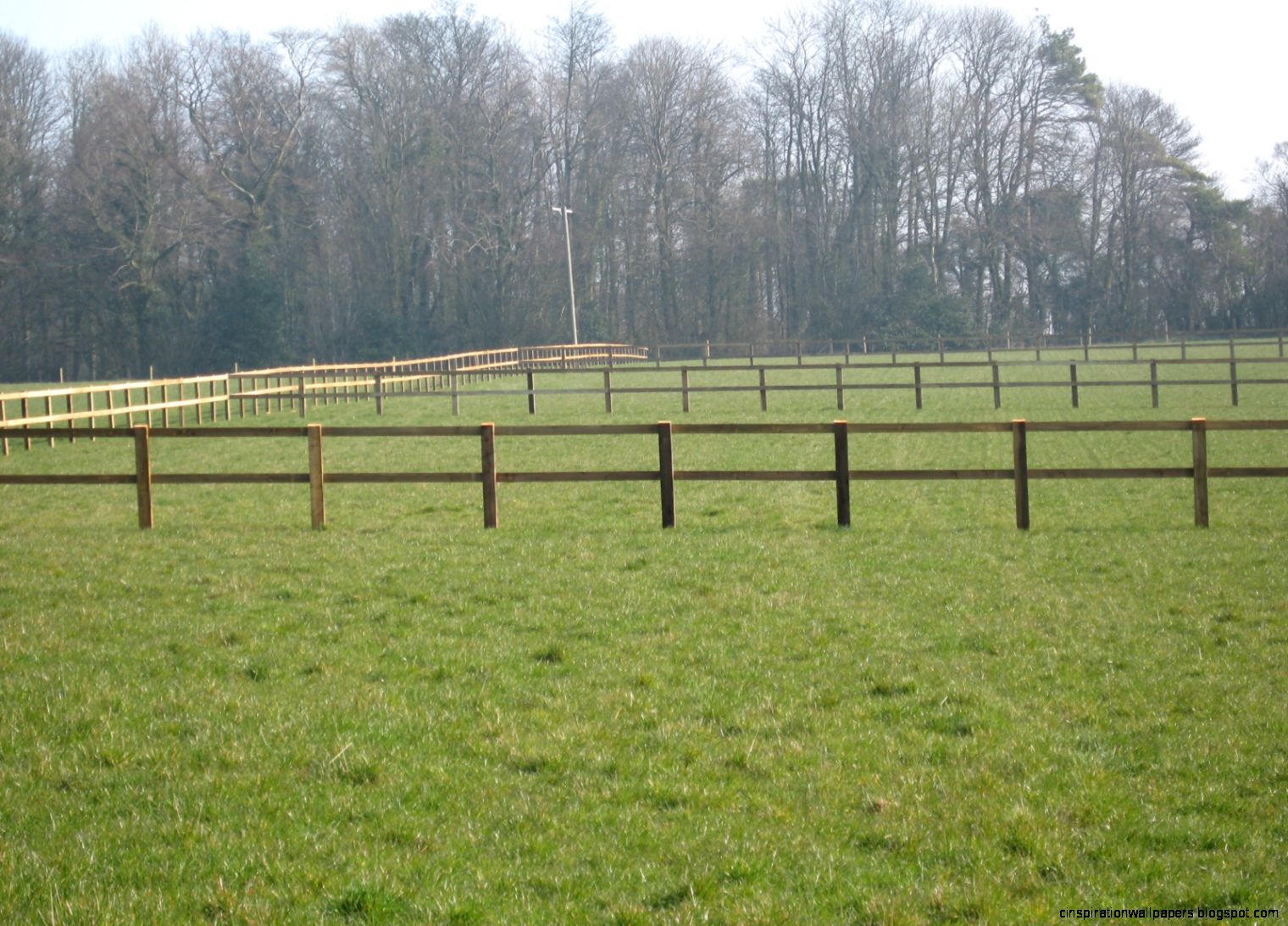 Electric Horse Fence Ideas Electric Horse Fence Ideas