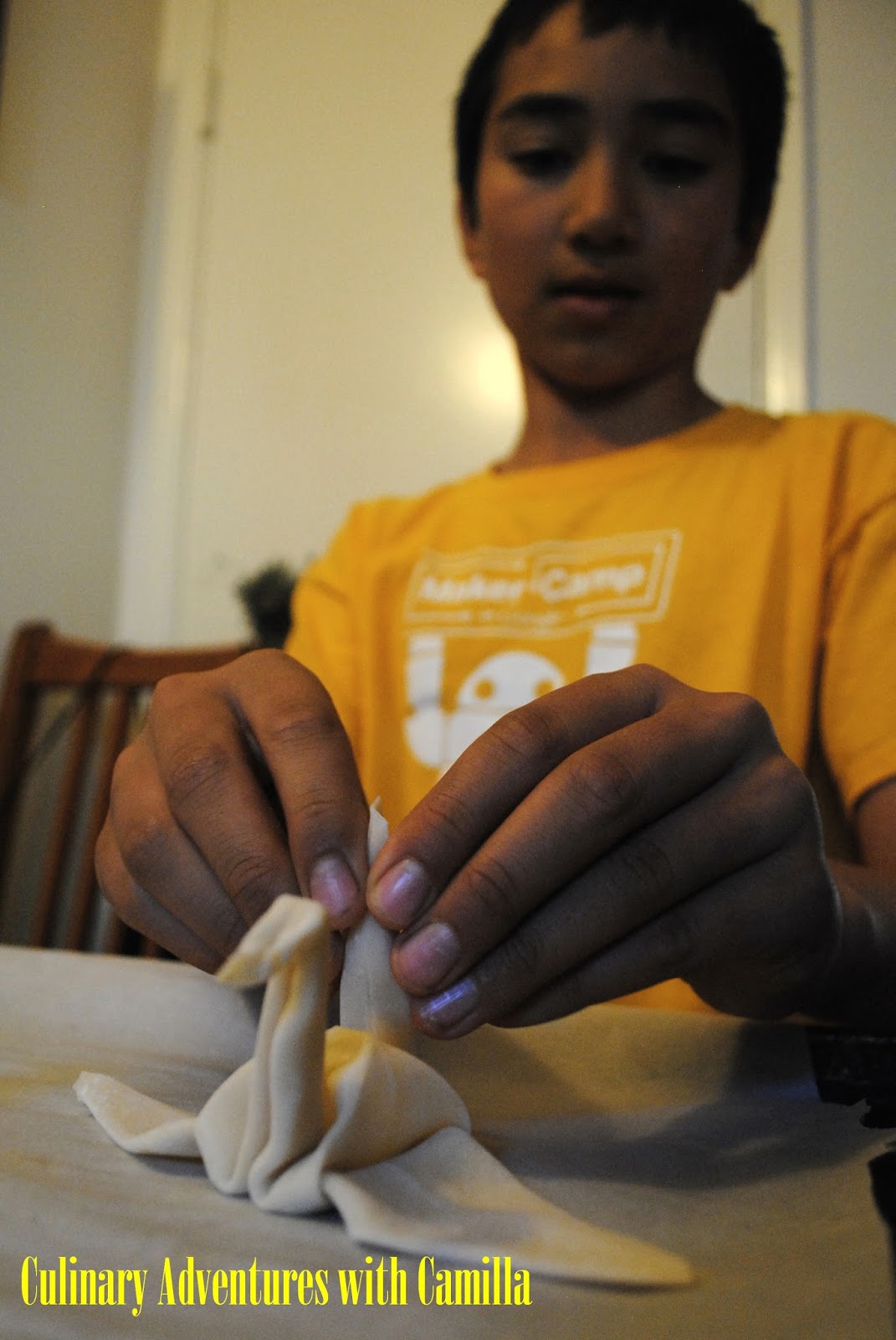 Culinary Adventures with Camilla Edible Origami {My Hungry Scientist}