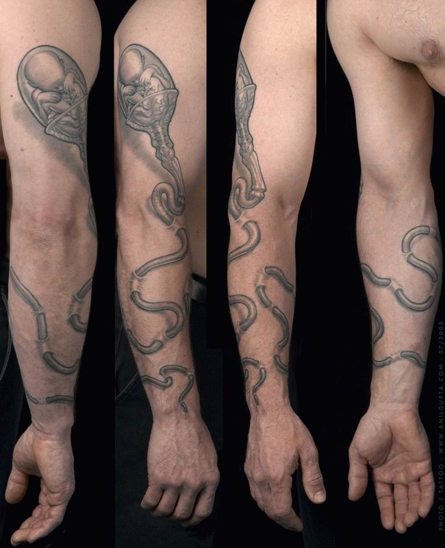 Snake Tattoos Nice Wallpapers