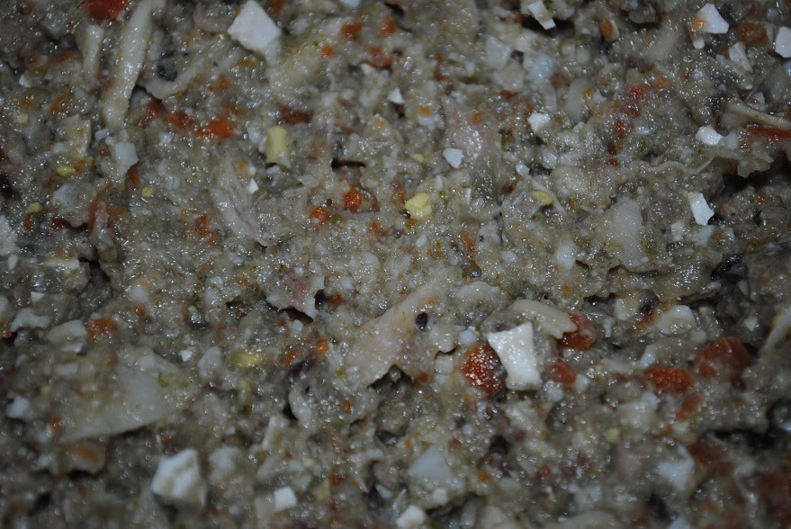 Saya's adventure Home made wet dog food