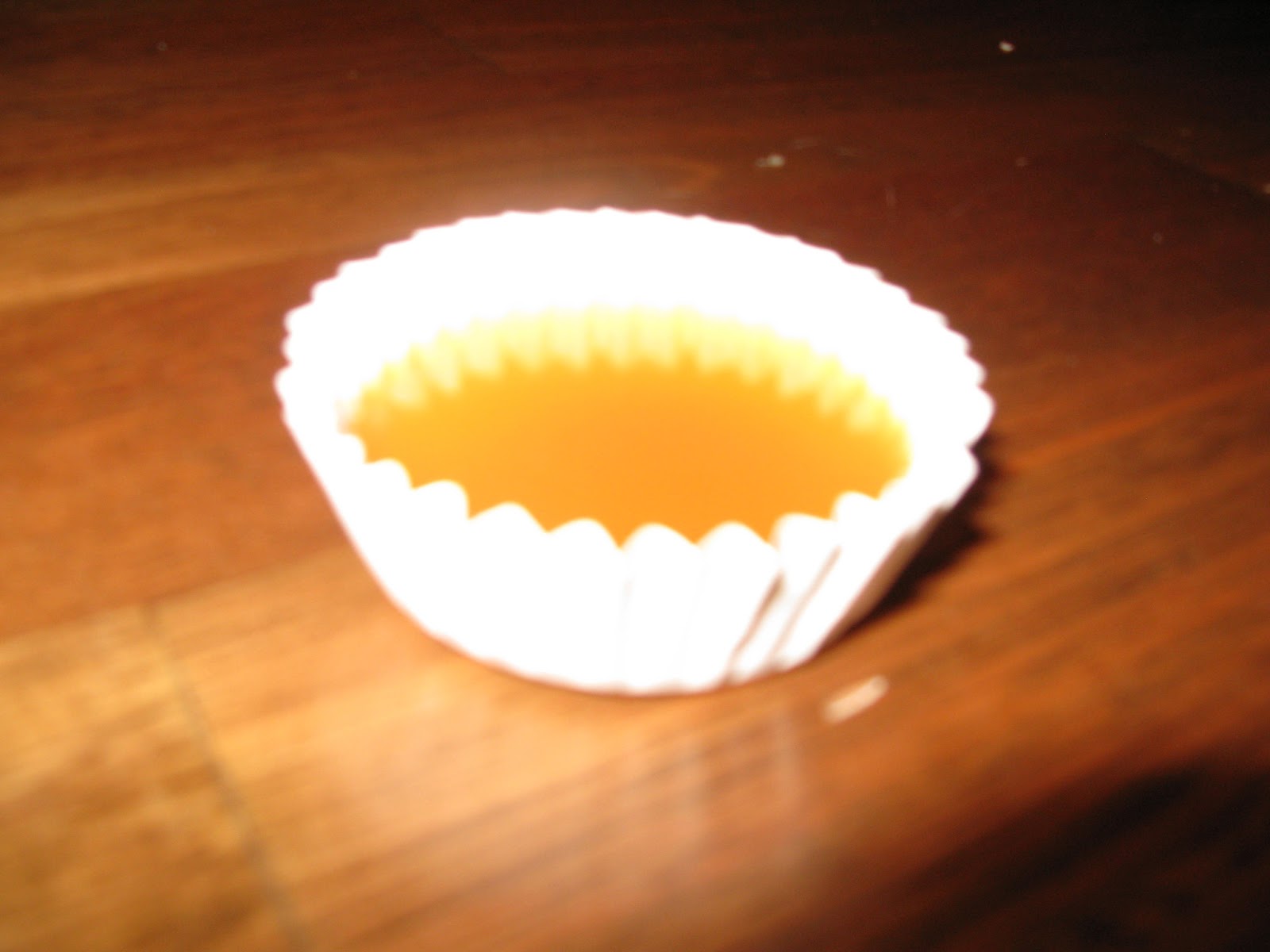 The Every Day Home School Homemade Petri Dishes Part 1