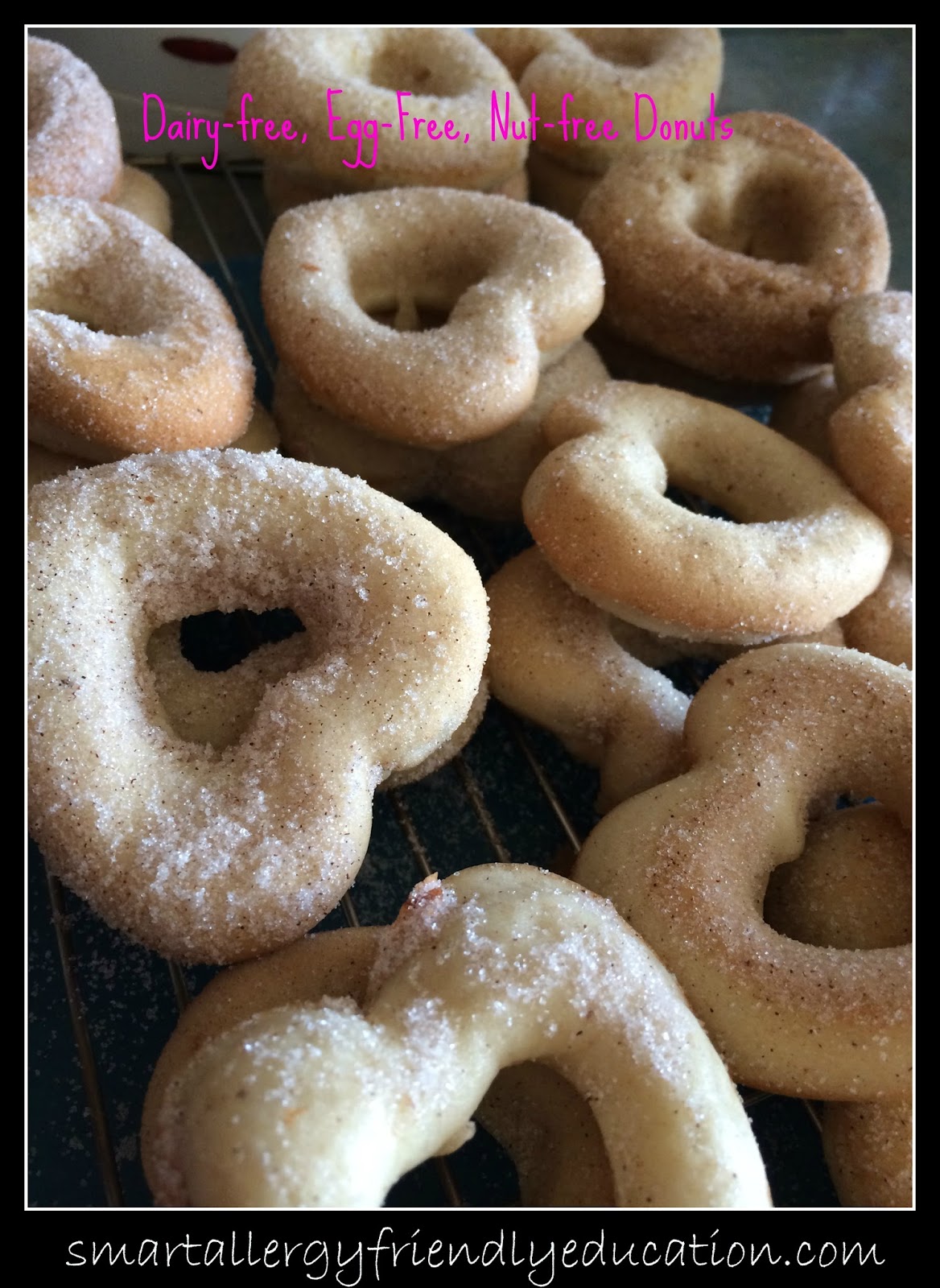 Smart Allergy Friendly Education: Dairy-Free, Egg-Free, Nut-Free