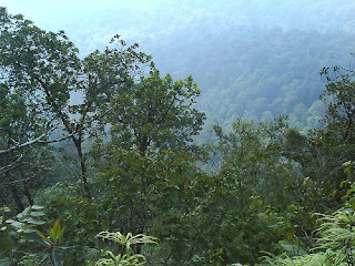 Wisata Gunung Muncung Kabupaten Lingga Dabo Singkep Kepri 4 Wisata Gunung Muncung Kabupaten Lingga Dabo Singkep Kepri 4