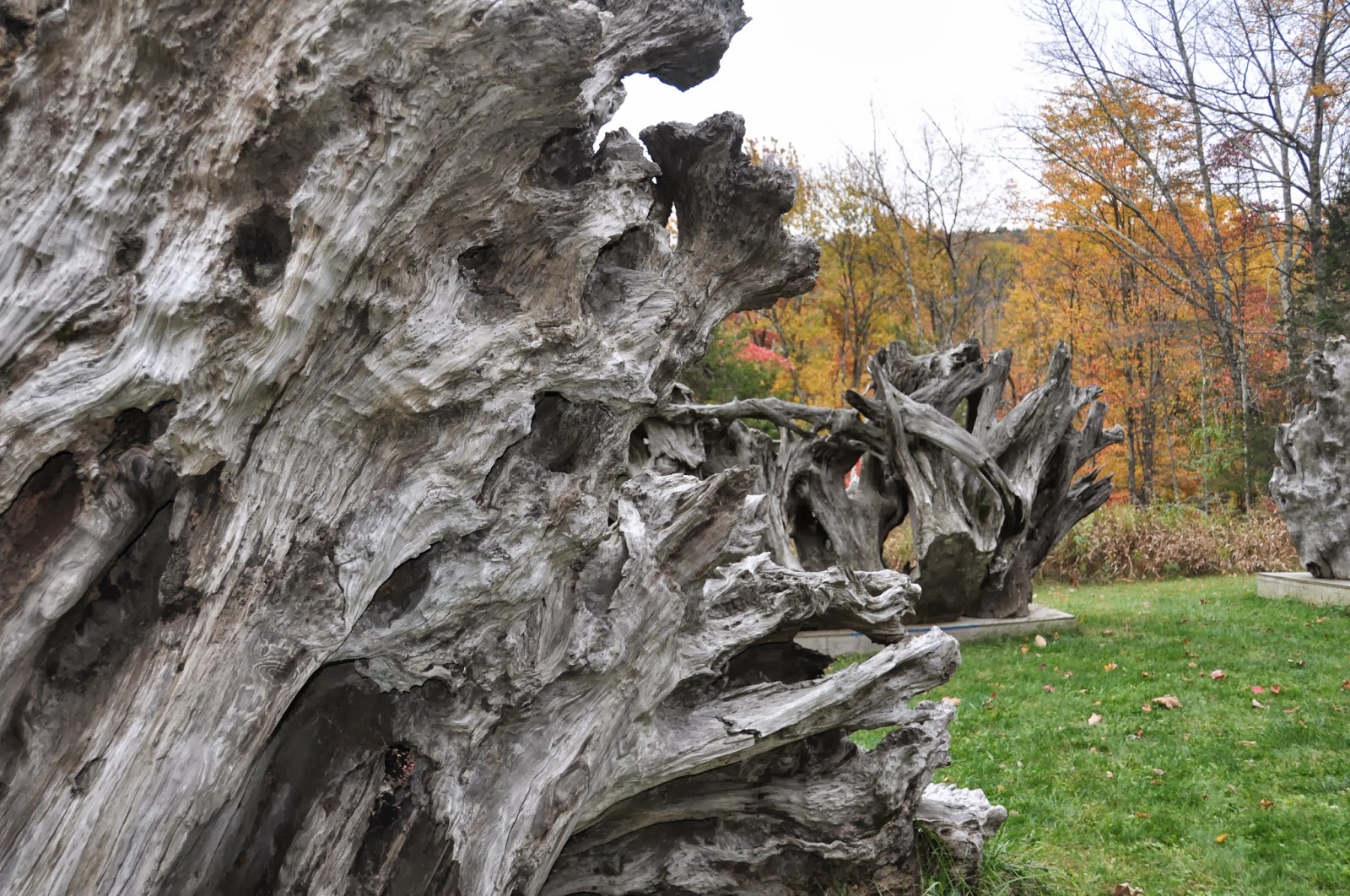 artapt. Sculpture Park, Hudson Valley New York.