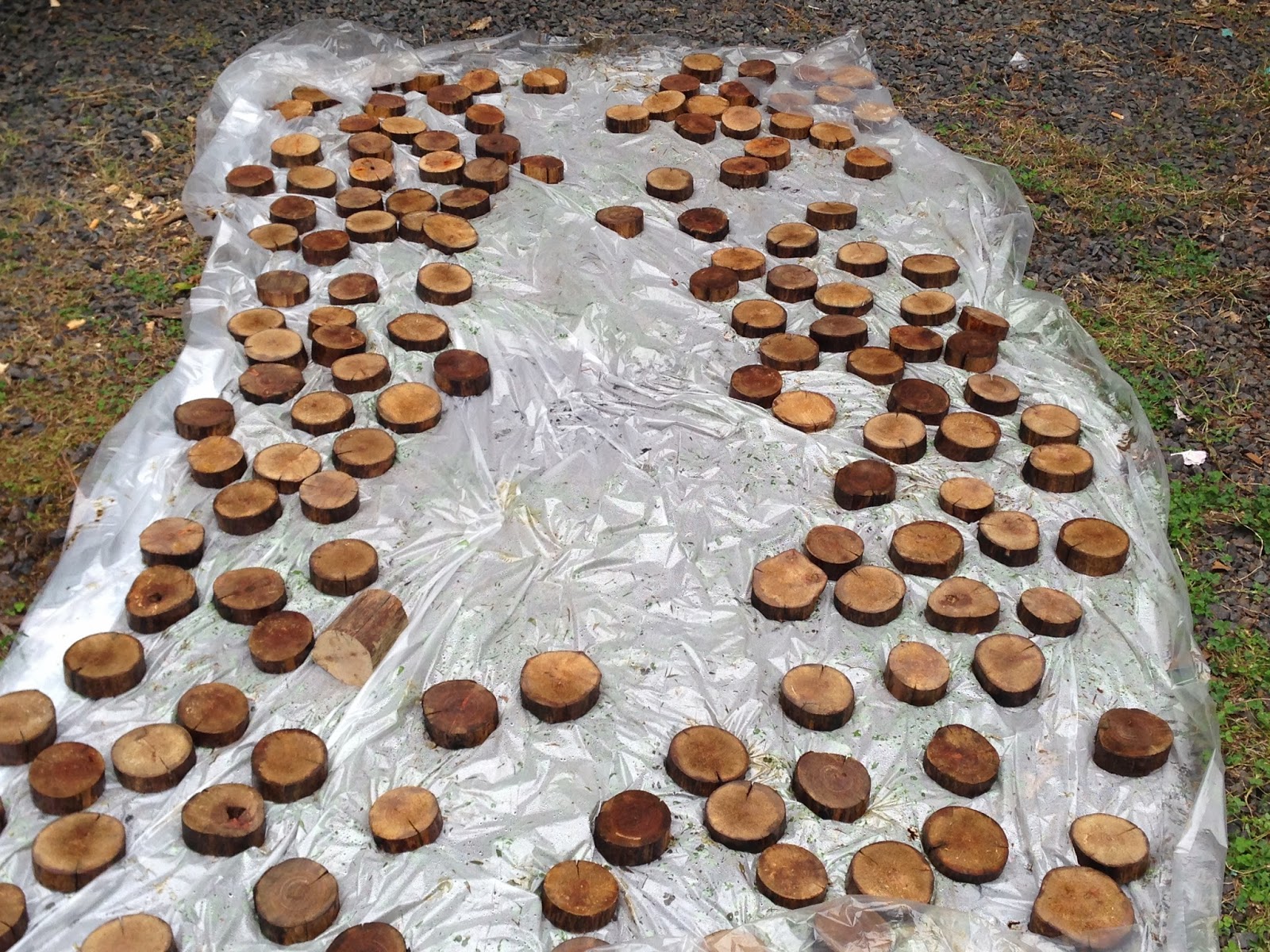 Brittany and Justin's DIY Wedding How to Make Small Wood Slices for