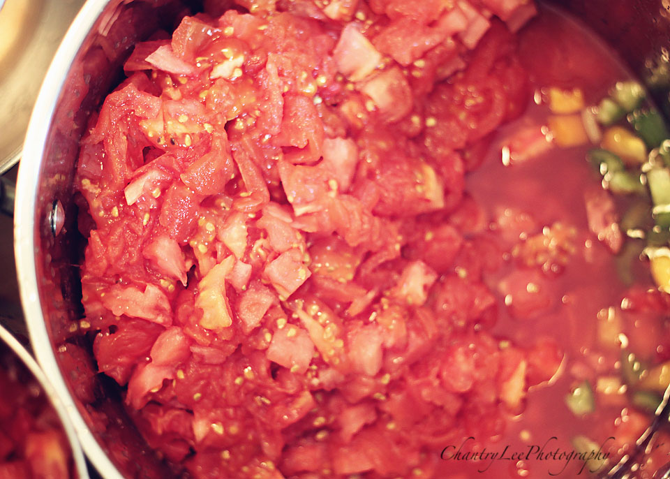 Chantry Lee Photography Canned Tomatoes and Jalapeños