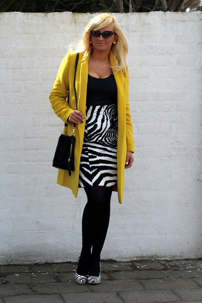 zebra3.jpg
