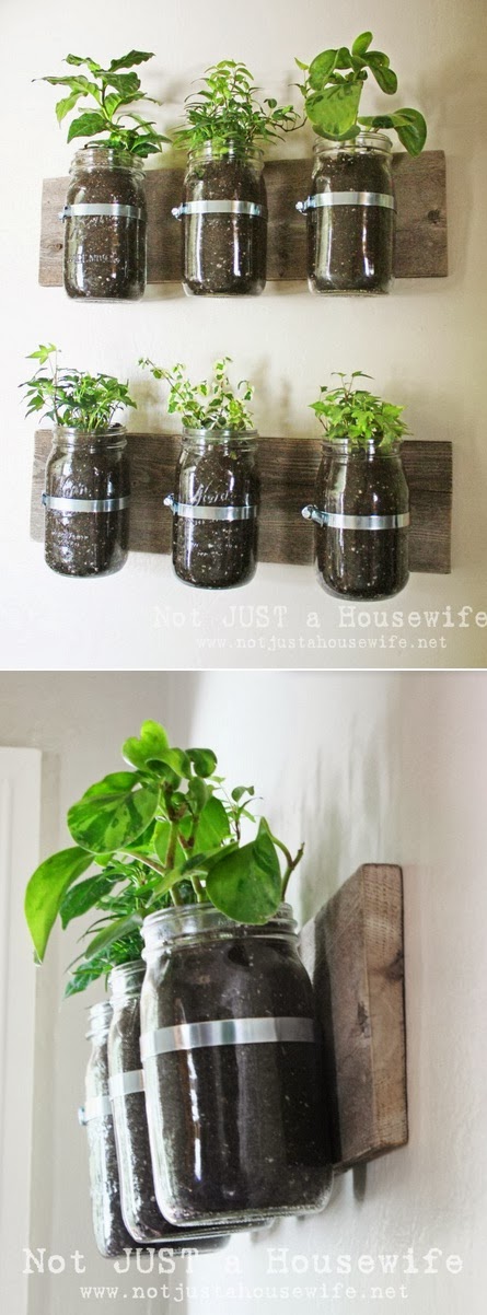 Mason Jar Wall Planter - Alternative Green World