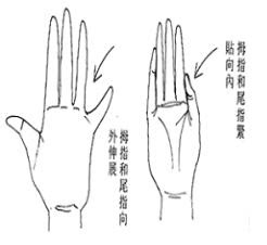 外向還是內向