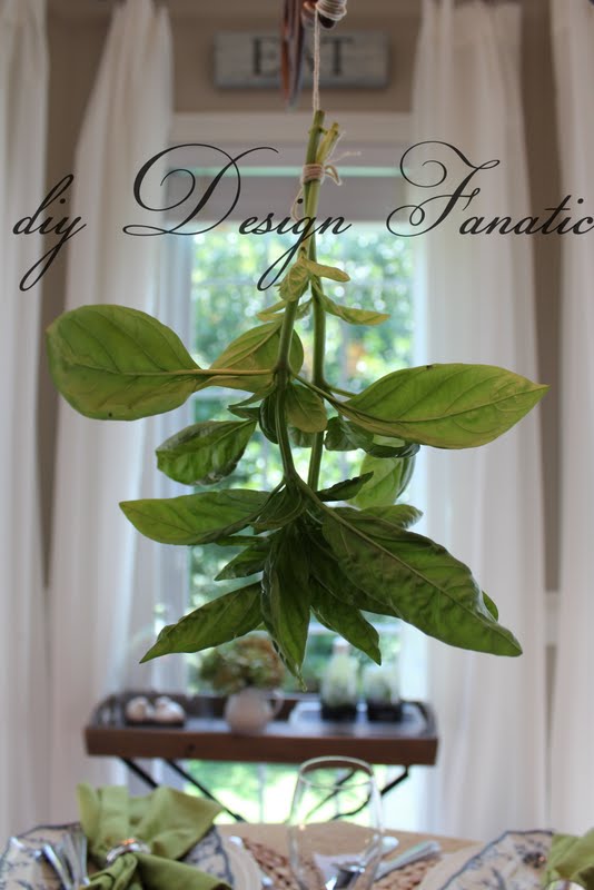 Can I Dry Basil Flowers at Daniel Thomas blog