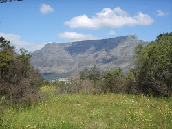 Table Mountain