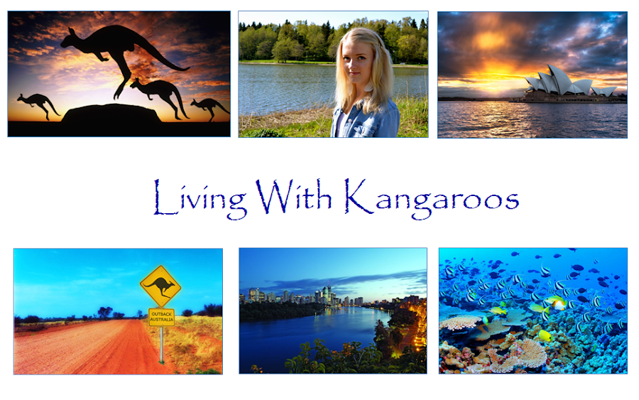 Living with kangaroos
