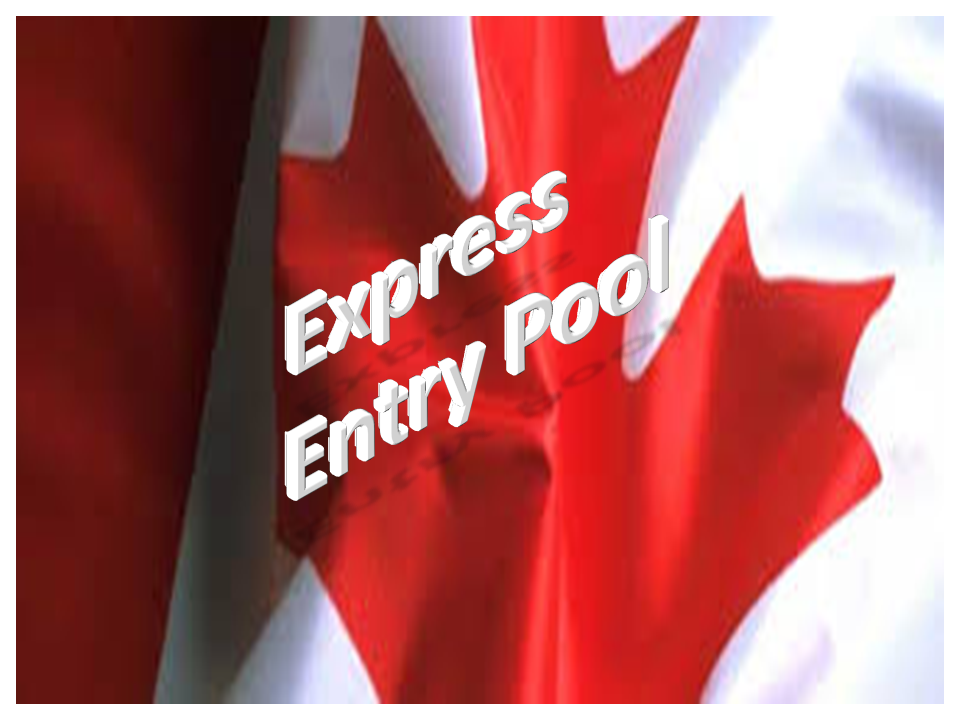 How the Express Entry Pool Works At Work Immigration