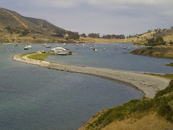 Cat Harbor, Catalina