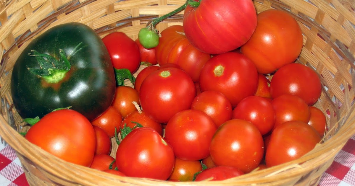 Tracy Cooks It Right A tisket, a tasket, a big tomato basket!
