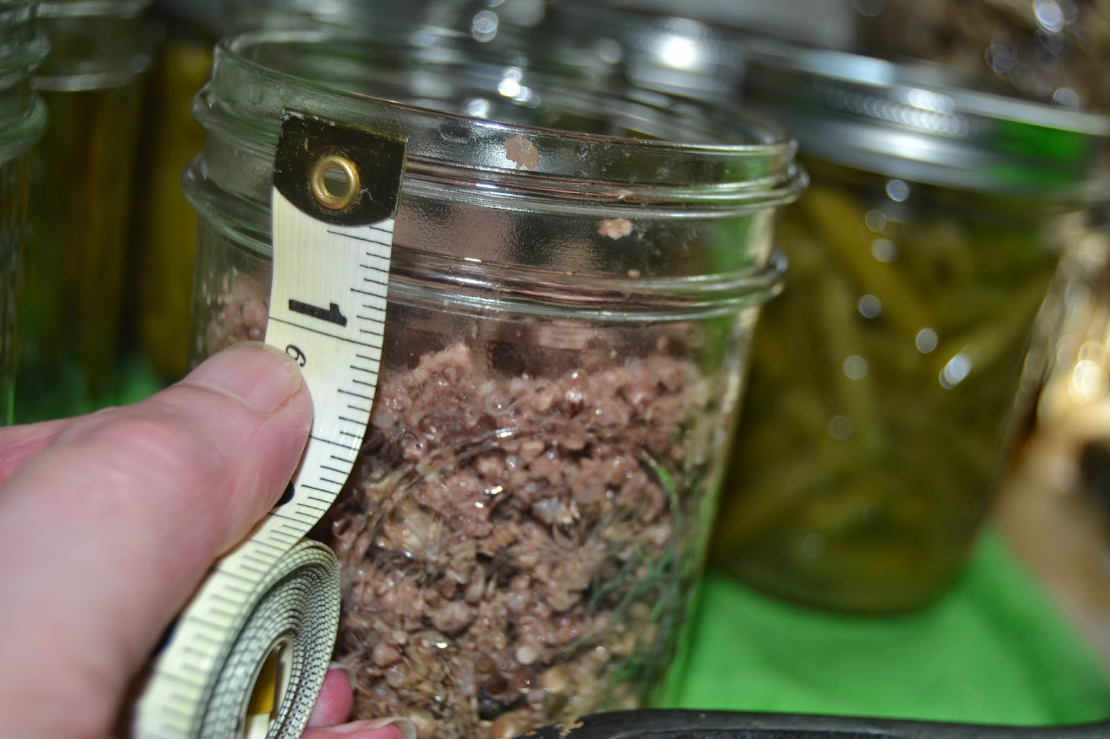 Perky Prepping Gramma How To Dry Can Hamburger