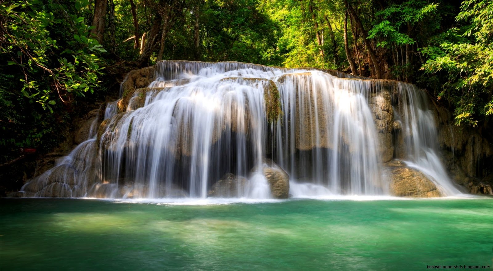 Forest with Waterfall Forest with Waterfall