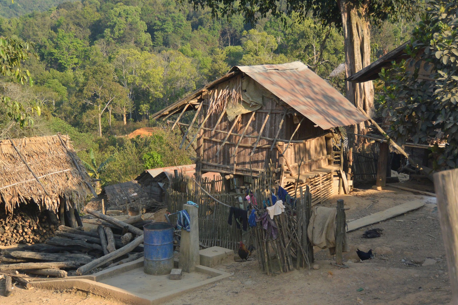 Jungle Trek, Village perdu dans la jungle du Nord du Laos Tortues Nomades
