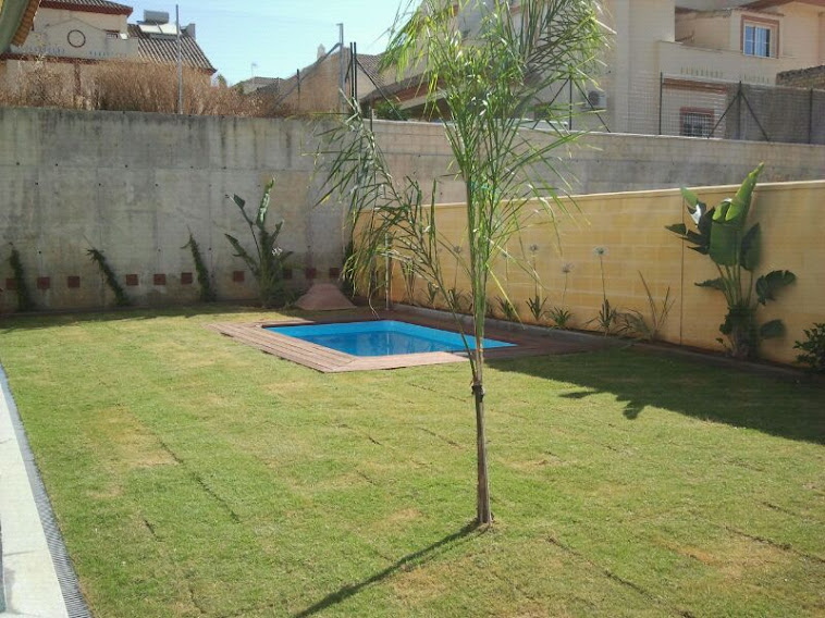 piscina en mairena del alcor