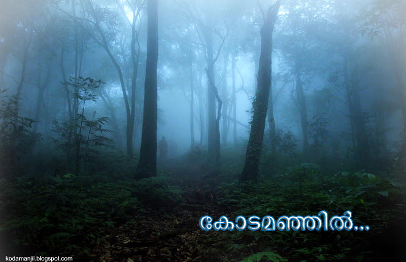 കോടമഞ്ഞിൽ