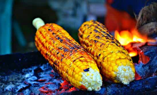 bakar jagung di kawasan puncak bakar jagung di kawasan puncak