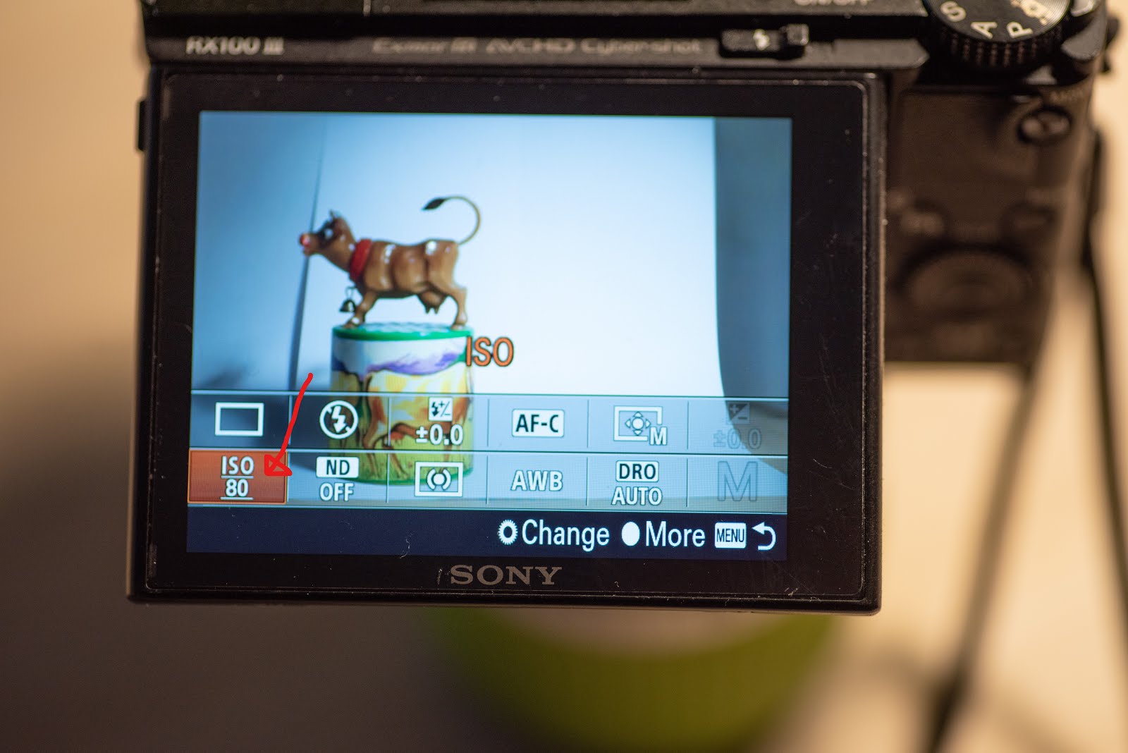 Sony RX100 M3 Manual mode guide for shooting still pictures