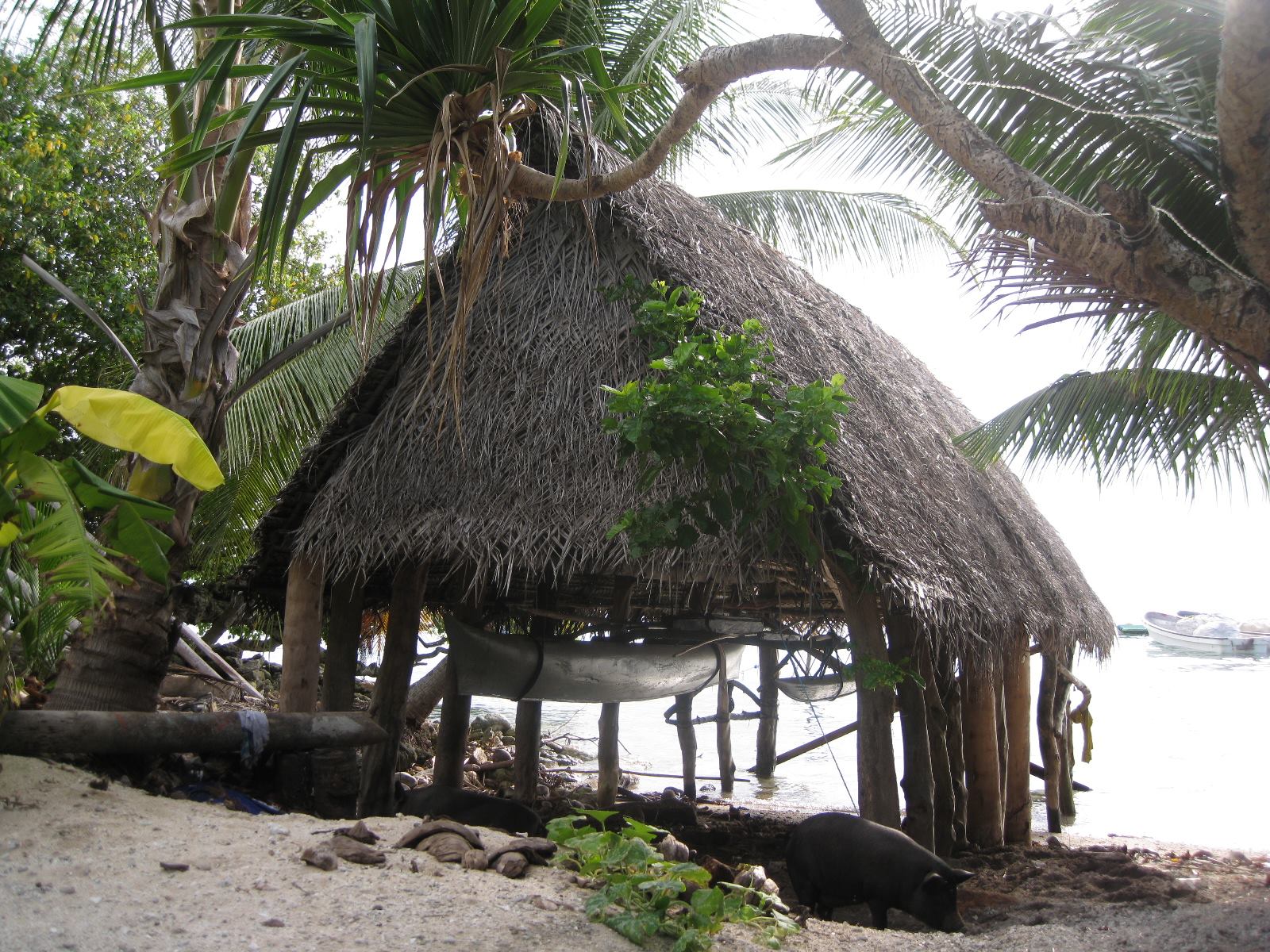 Outrigger Sailing Canoes Visit to the Southern Outer Islands of Pohnpei